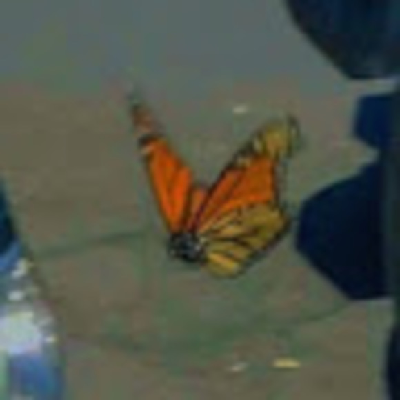 Meet your Posher, Samantha - Picture 1 of 1